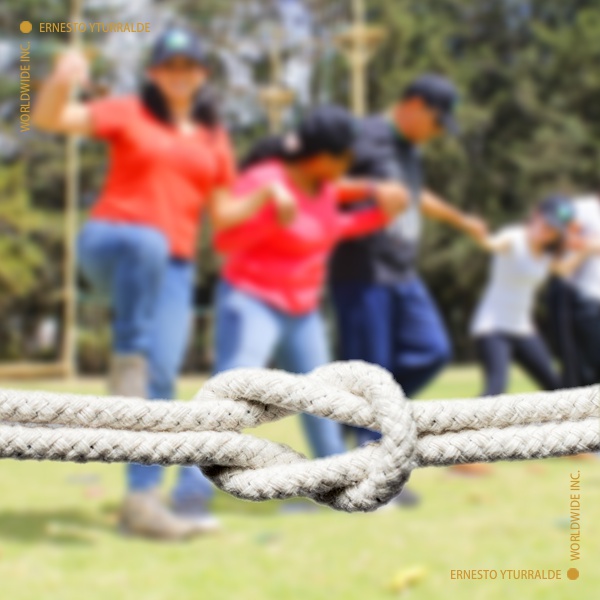 Talleres de Cuerdas Bajas | Team Building Empresarial para el desarrollo de equipos de trabajo